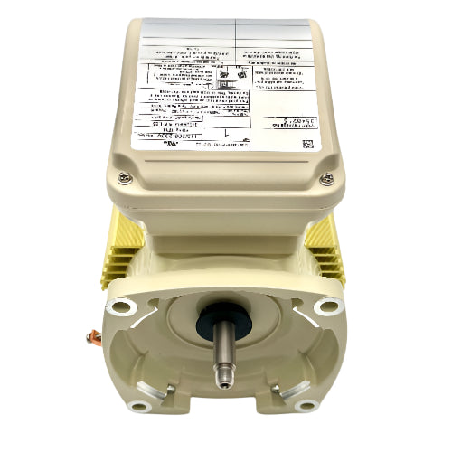 Pentair 354821S 1 HP single speed replacement pool pump motor