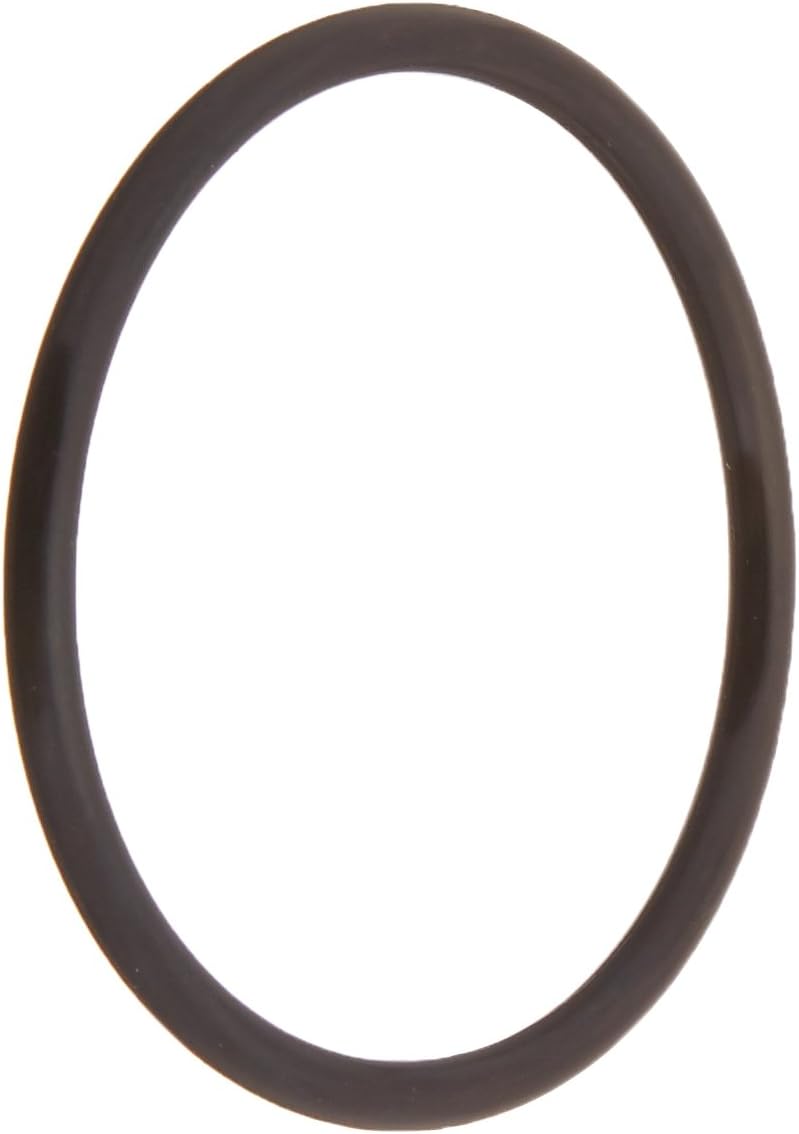 Pentair | 155064 | O-Ring Standup Replacement Tagelus Pool and Spa Sand Filter