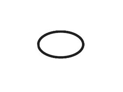 Pentair | 754000350 | O-Ring for Flow Jar | Intellichem Replacement Seal