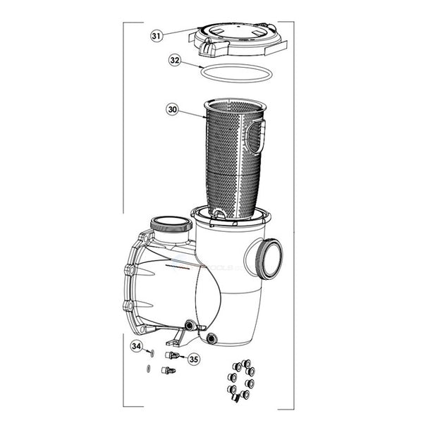 Pentair | 356174Z | Strainer Pot Kit for IntelliFlo3 VSF 1.5 HP Pump
