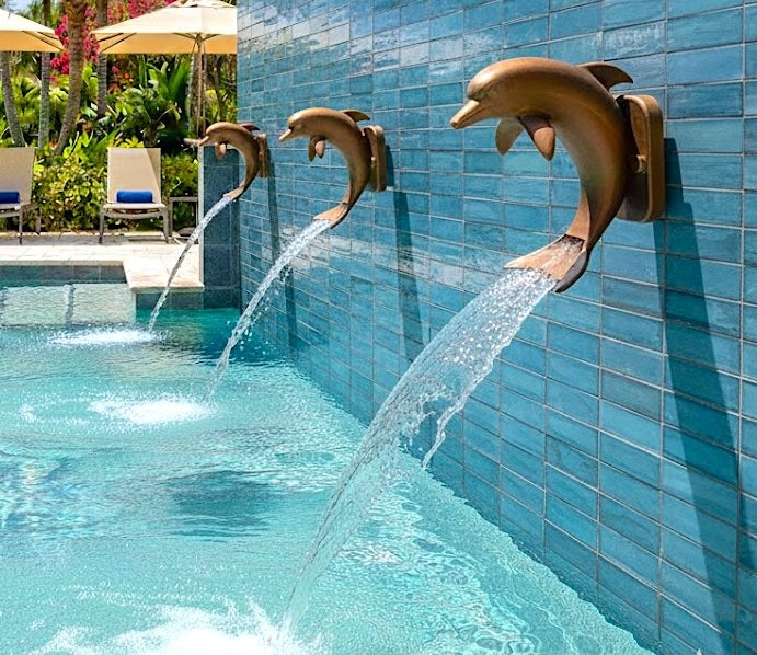 Artista Pools AquaDolphin ջրհորդան
