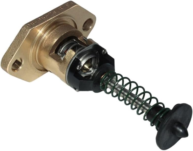 Raypak | 018758F | UG/Bypass Assembly 105F 336-408 Kit – Genuine Replacement for Reliable Flow Control