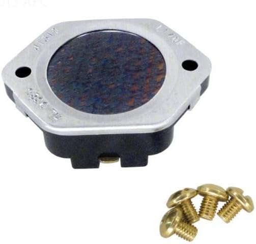 Raypak | 001811F | High Limit Switch for ELS 552-2 & 1102-2