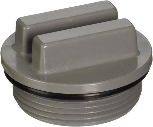 CMP | 25543-001-000 | 1.5