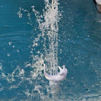 Artista Pools AquaDolphin Pool Bubbler – 1-1/2" NPT | White, Gray, Blue