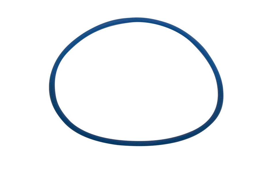 Blue Square | 502004 | Abyss Debris Canister O-Ring