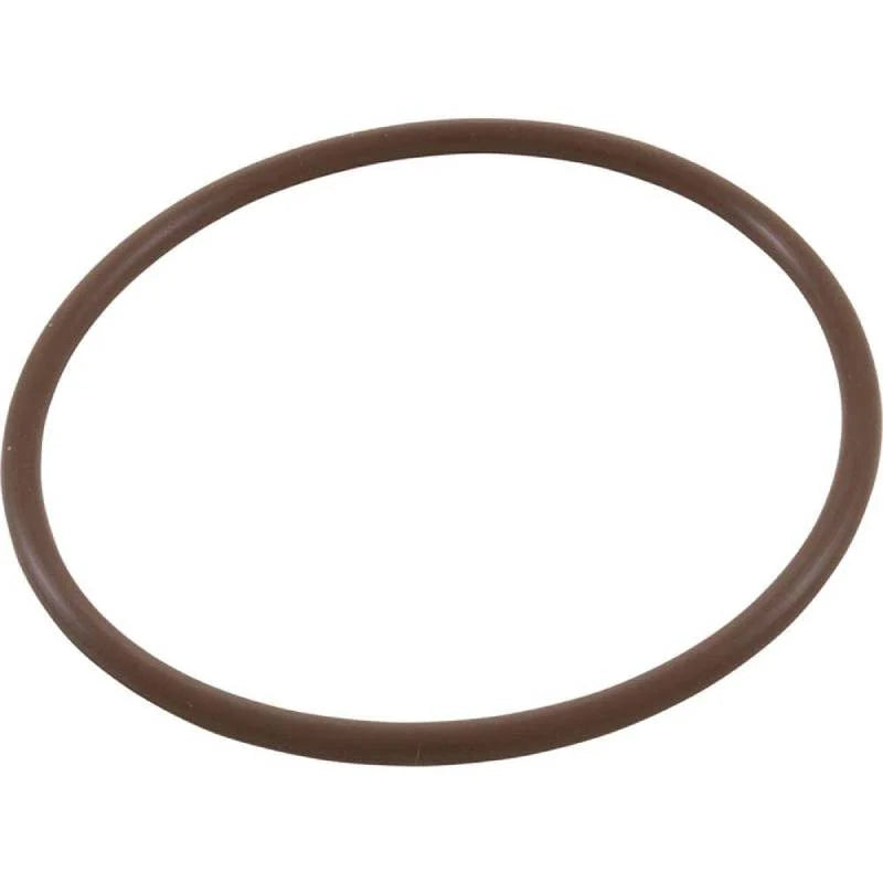 CMP | 52000-200-101 | O-Ring | For PowerClean Salt System
