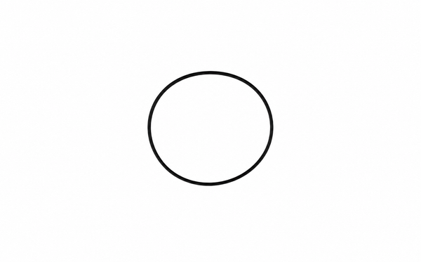 TRAP LID ORING (MPV ԿԱՓԱՐԻՉ / DOMINATOR)