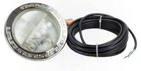 Pentair 601302. White LED Light. 100’ cord 500W