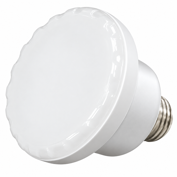 Super-Pro | 36710 | Cool White Spa LED Lamp 120V 100W