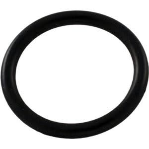 Hayward | SX200Z14 | Sand Filter O-Ring | Replacement Sealing O-Ring