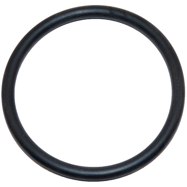 Hayward | SX220Z2 | Large O-Ring Replacement for Hayward Pump and Filter