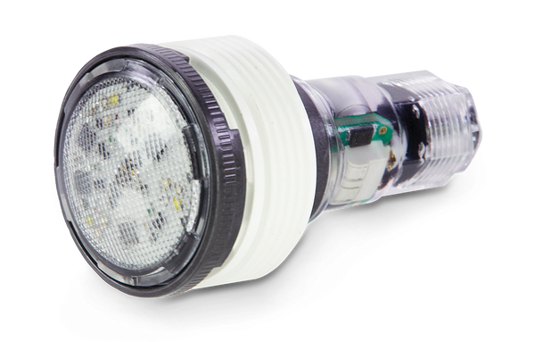 Pentair 620429 MicroBrite White Light 12V 100’ cord