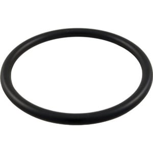 Pentair | 154492 | 2" Bulkhead O-Ring