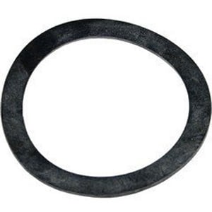 Pentair | 154538 | 2" Bulkhead Gasket