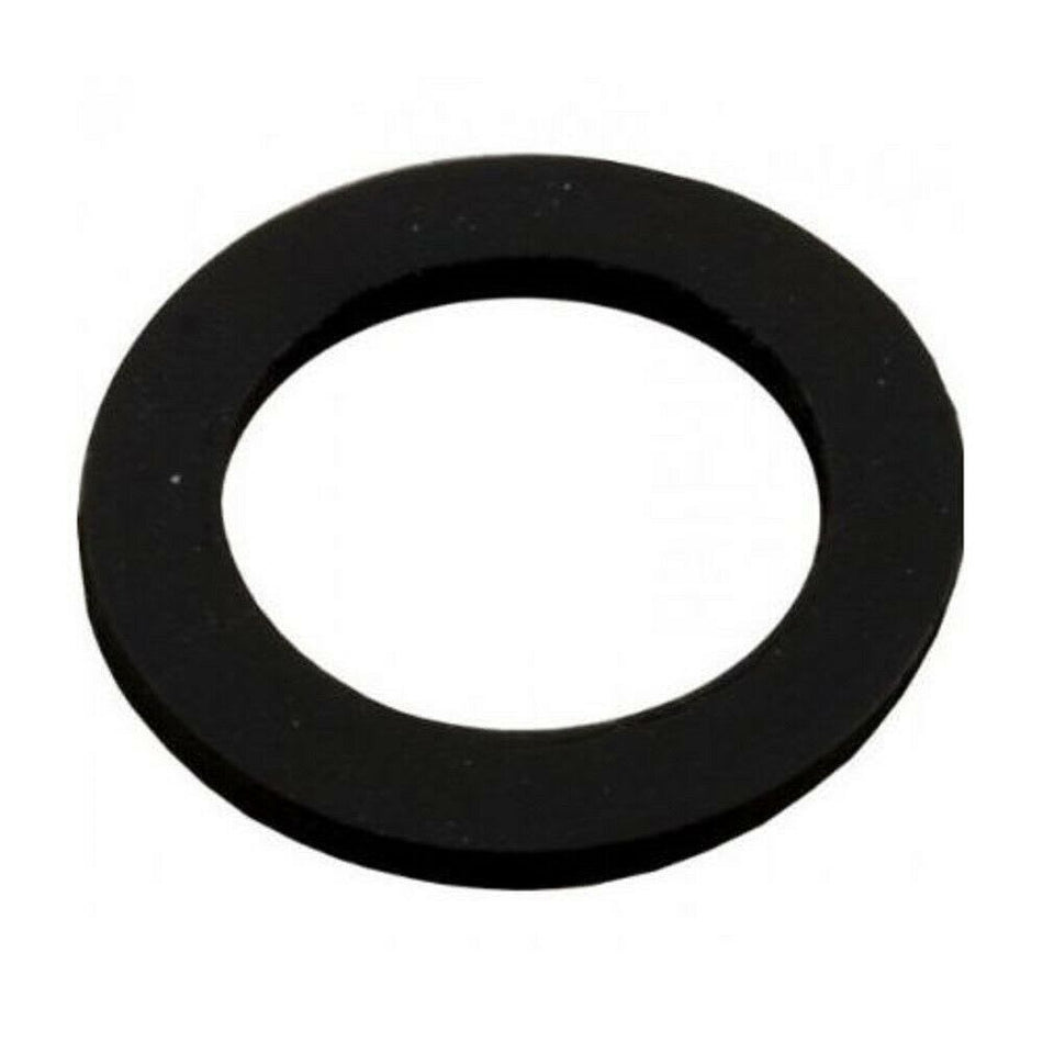 Pentair | 154713 | SD15/19/22 Sand Drain Gasket