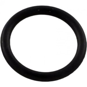 Pentair O-Ring Drain Plug | 192115Z