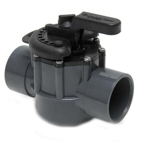 Pentair 2" 2-Way Compool PVC Valve | 263029