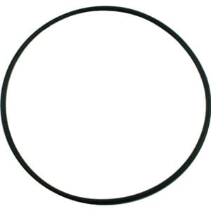 Pentair Pinnacle/SuperFlo Seal Plate O-Ring | 355619Z