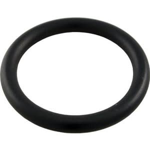 Pentair | 51005000 | Drain Plug O-Ring for Pool and Spa Filters and Valves