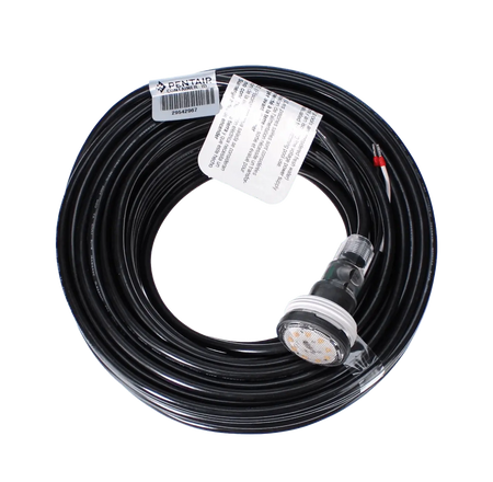 Pentair | EC-620457 | MicroBrite Warm White LED Pool Light | 12V 14W 100' Cord Pentair
