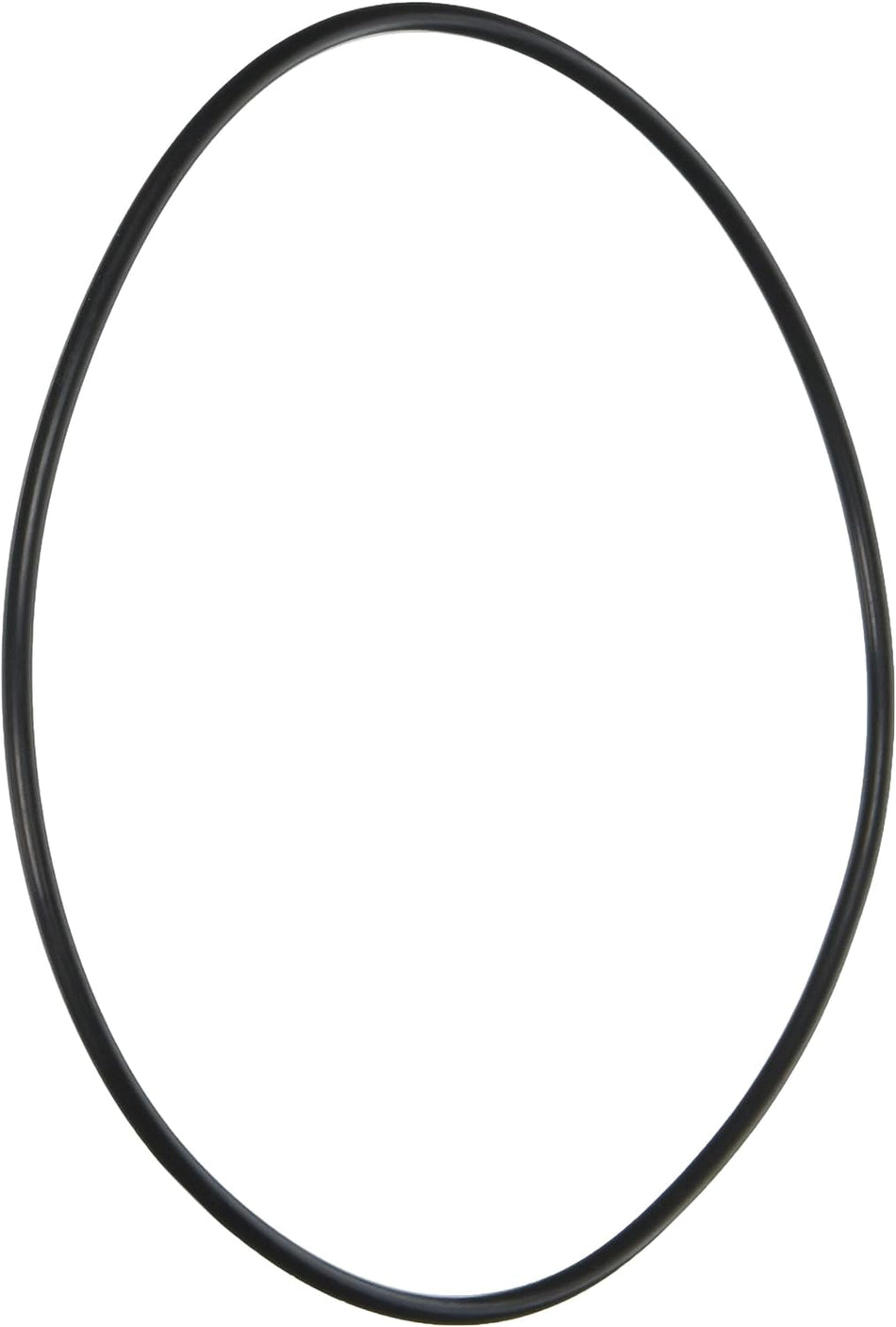 Pentair | LA415 | Booster Pump Seal Bracket O-Ring – TradeGrade Replacement Part