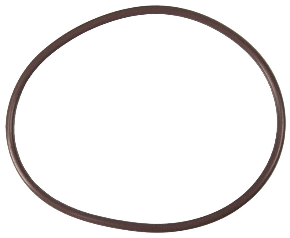 Pentair | R172240 | High-Capacity Chlorinator Lid-to-Housing O-Ring