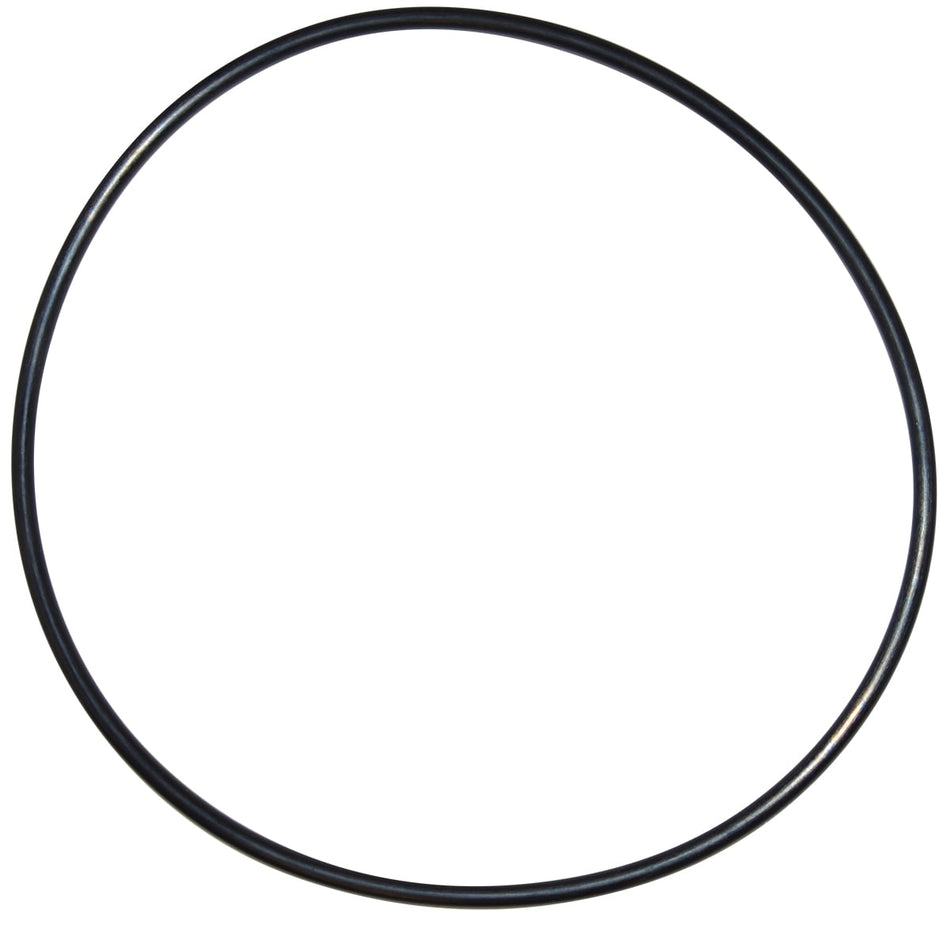 Pentair | U9-228AZ | Seal Plate O-Ring – Reliable Replacement Seal for Pool Filters