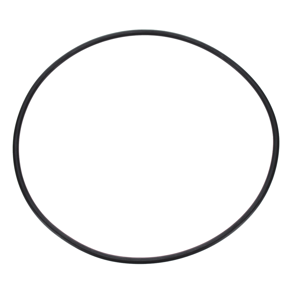 Pentair | U9-228AZ | Seal Plate O-Ring – Reliable Replacement Seal for Pool Filters