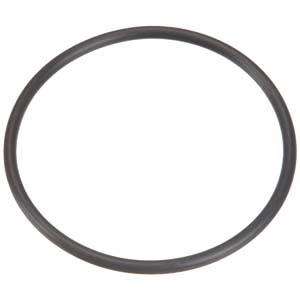 Pentair | U9-362 | MPV Union O-Ring – Reliable Replacement Seal for Multiport Valves