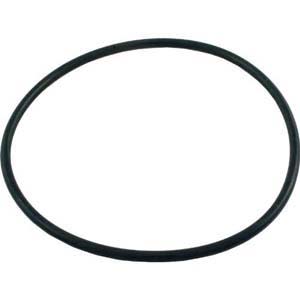 Pentair | U9-369 | Valve Flange O-Ring – Reliable Replacement Seal for Pool Systems