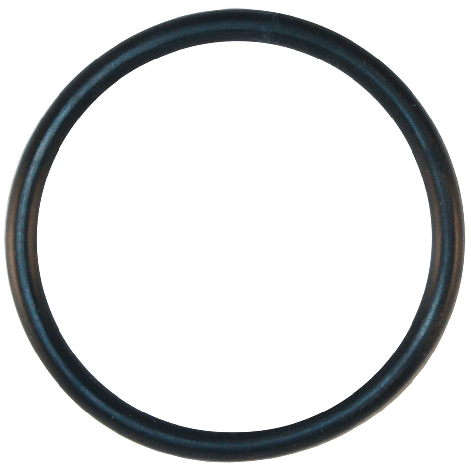 Pentair | U9-374Z | Max-E-Pro/Dyna-Pro Diffuser O-Ring – Durable Replacement Seal