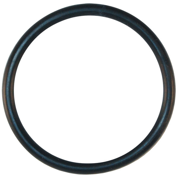 Pentair | U9-374Z | Max-E-Pro/Dyna-Pro Diffuser O-Ring – Durable Replacement Seal