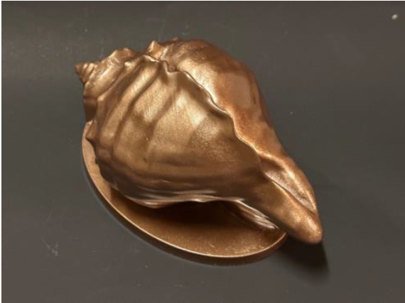 Artista Pools Conch Shell Scupper