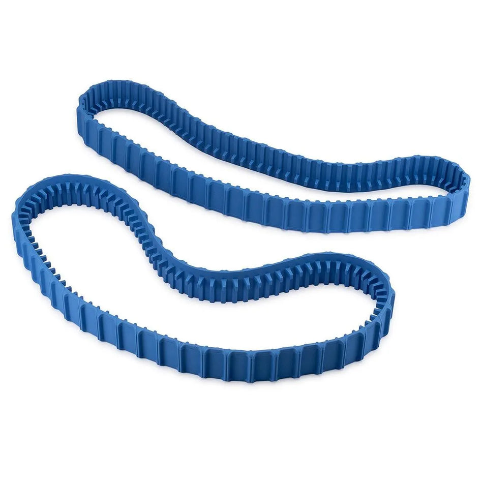 Maytronics | 99831521-R2 | Dolphin S-Series Blue Tracks 2-Pack