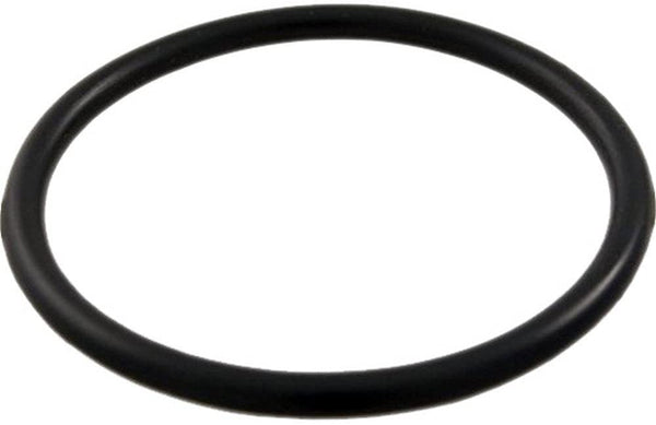 Waterway 805-0224 Sand Filter Drain O-Ring