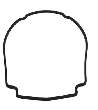 Waterway 806-1400 Faceplate Gasket - Mini Svl Ch