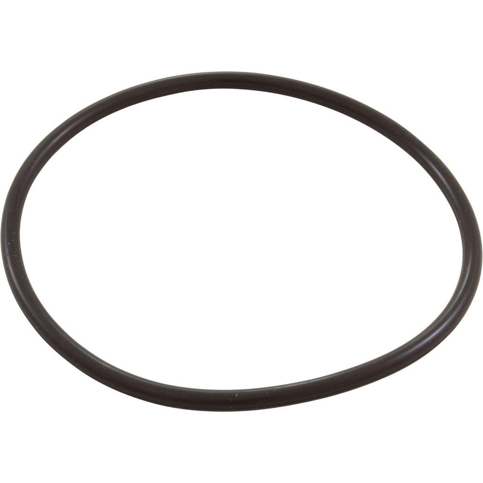 Nature2 | W13068 | Chlorine Chamber Cap O-Ring | For Nature2 Professional G Plus