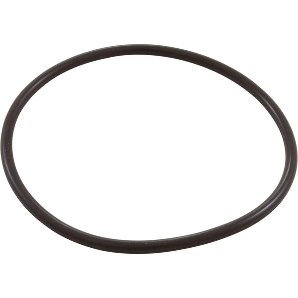 Nature2 | W13068 | Chlorine Chamber Cap O-Ring | For Nature2 Professional G Plus